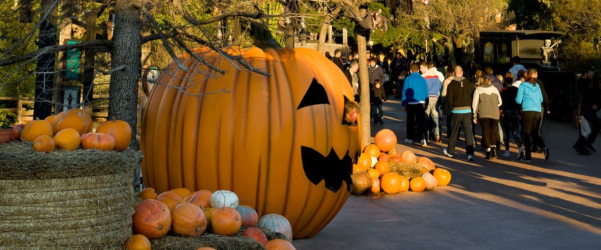Halloween: planes para toda la familia y alojamiento de última hora