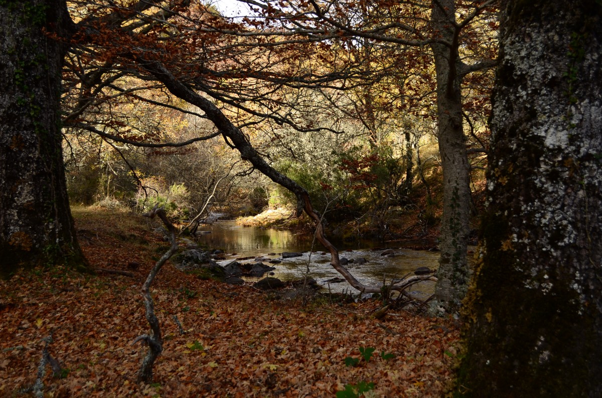Escapada a la Sierra Norte de Madrid