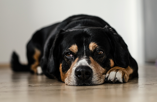 Jornada de puertas abiertas: no cometas estos errores al enseñar tu casa