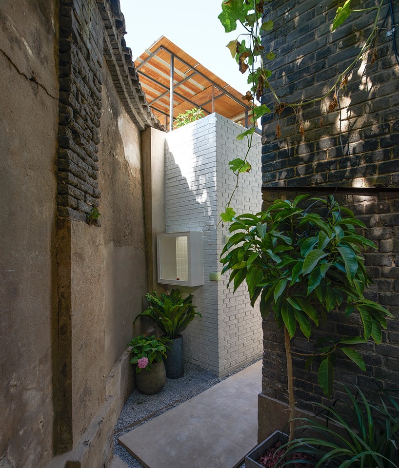 Patio trasero