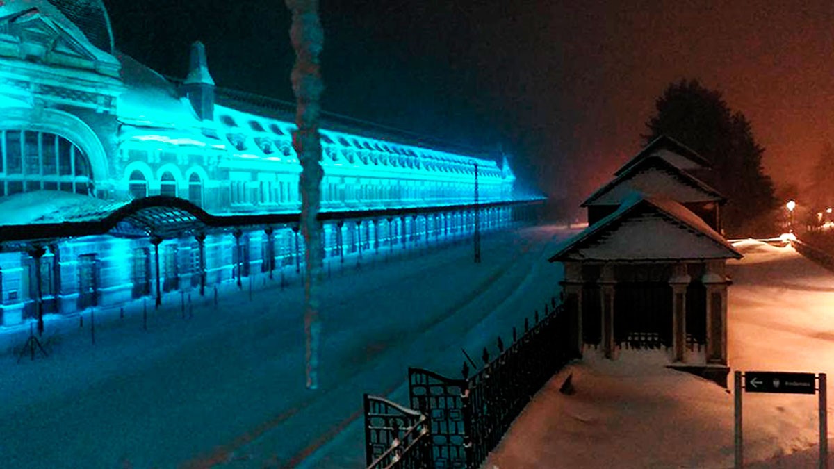 El árbol arrancado por el viento en Madrid y otras estampas de la ola de frío que te dejarán helado