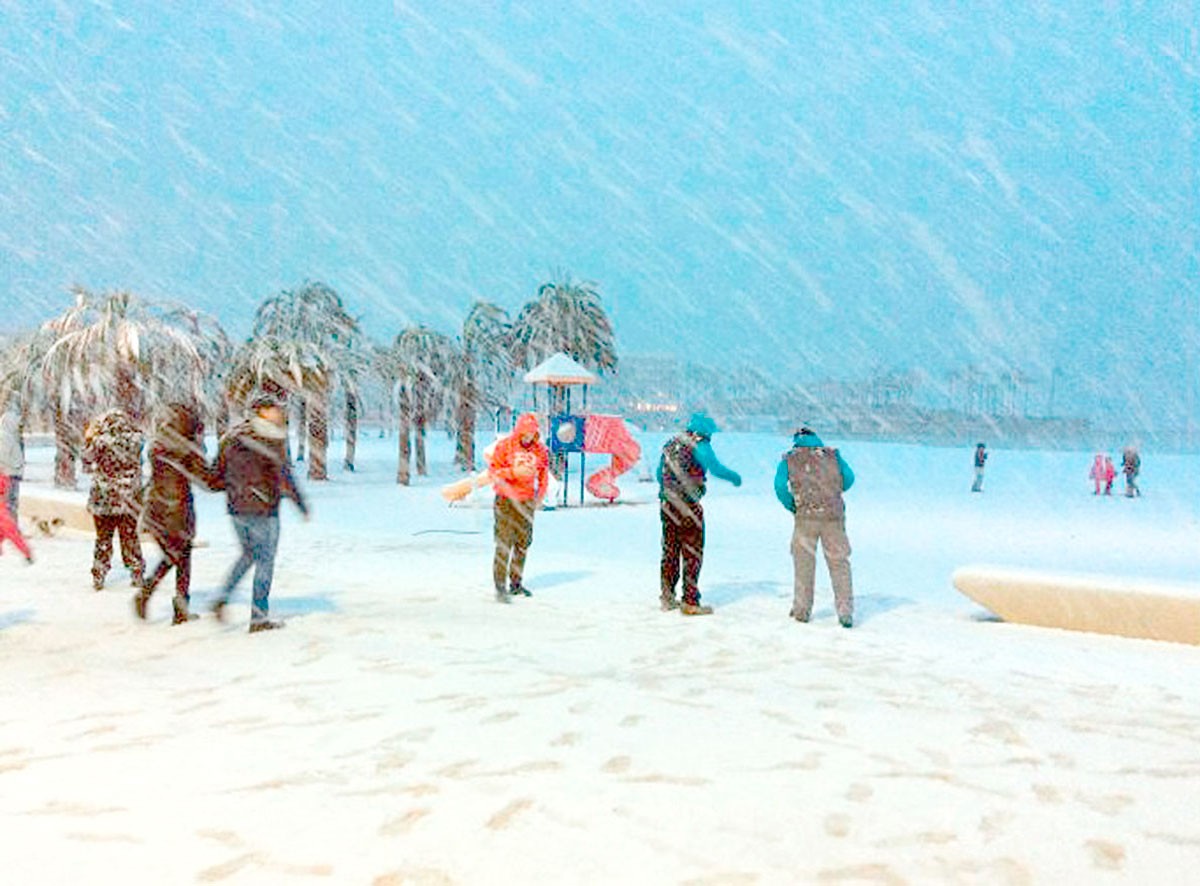 El árbol arrancado por el viento en Madrid y otras estampas de la ola de frío que te dejarán helado