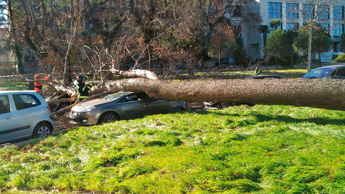 madrid_c_1200_100x100