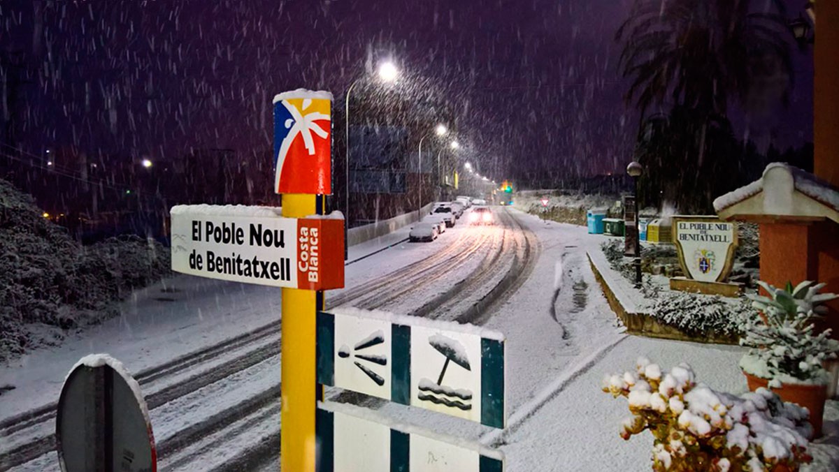 El árbol arrancado por el viento en Madrid y otras estampas de la ola de frío que te dejarán helado