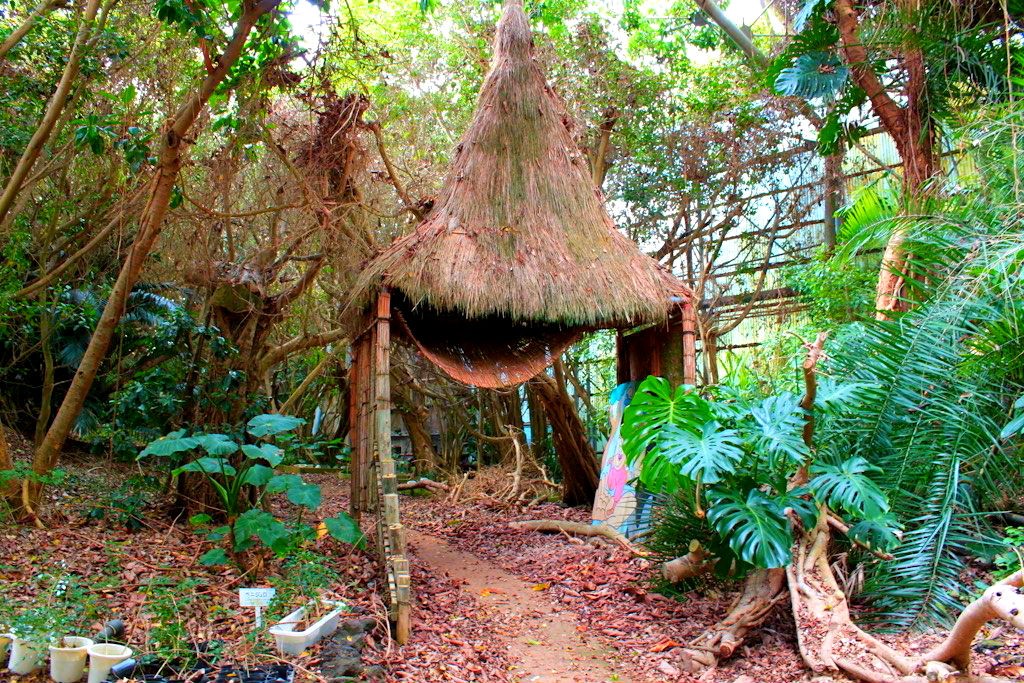 Un jardín botánico abandonado en Japón que parece Parque Jurásico