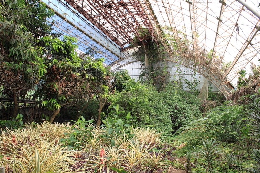 parque_jurasico_09