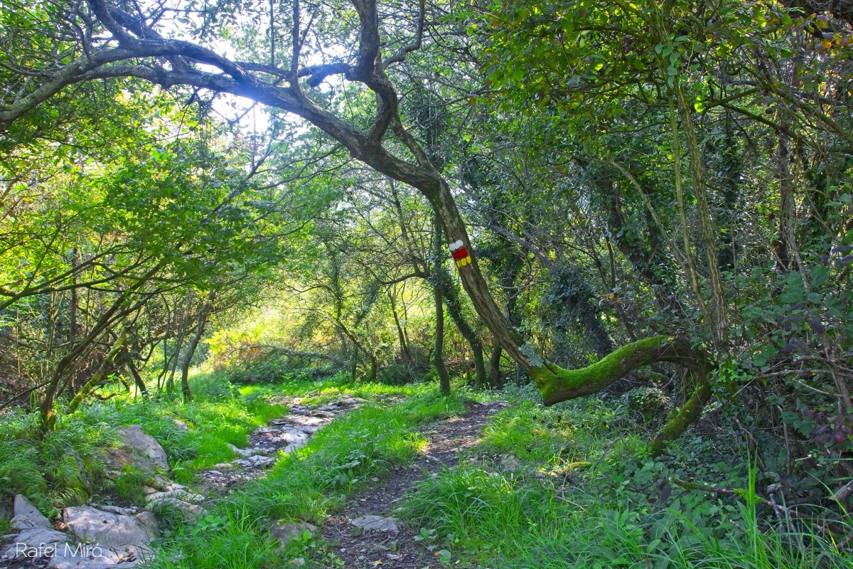 Parque Natural de Pagoeta