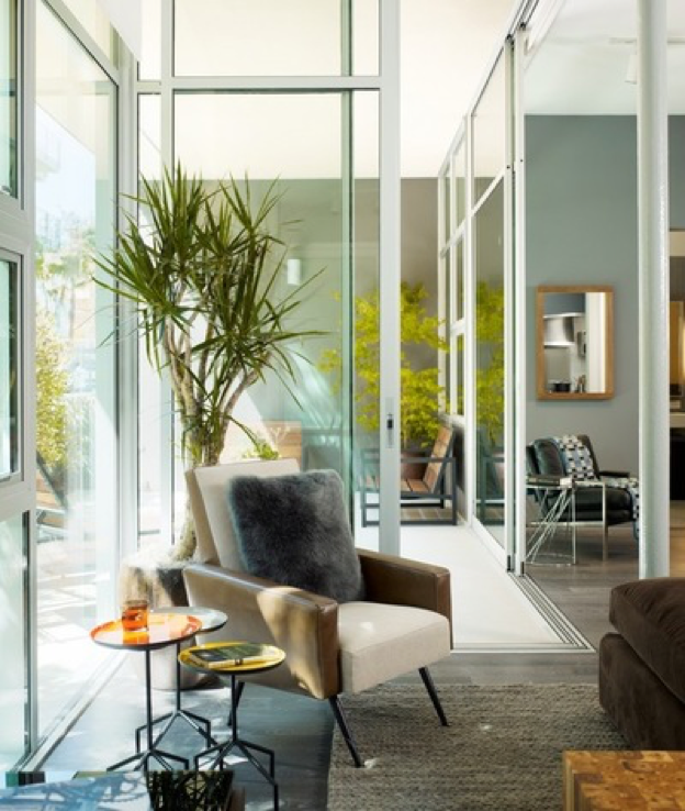 plantas_en_casa_02