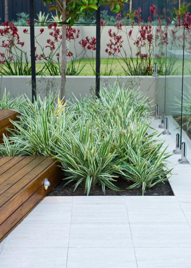 plantas_en_casa_05