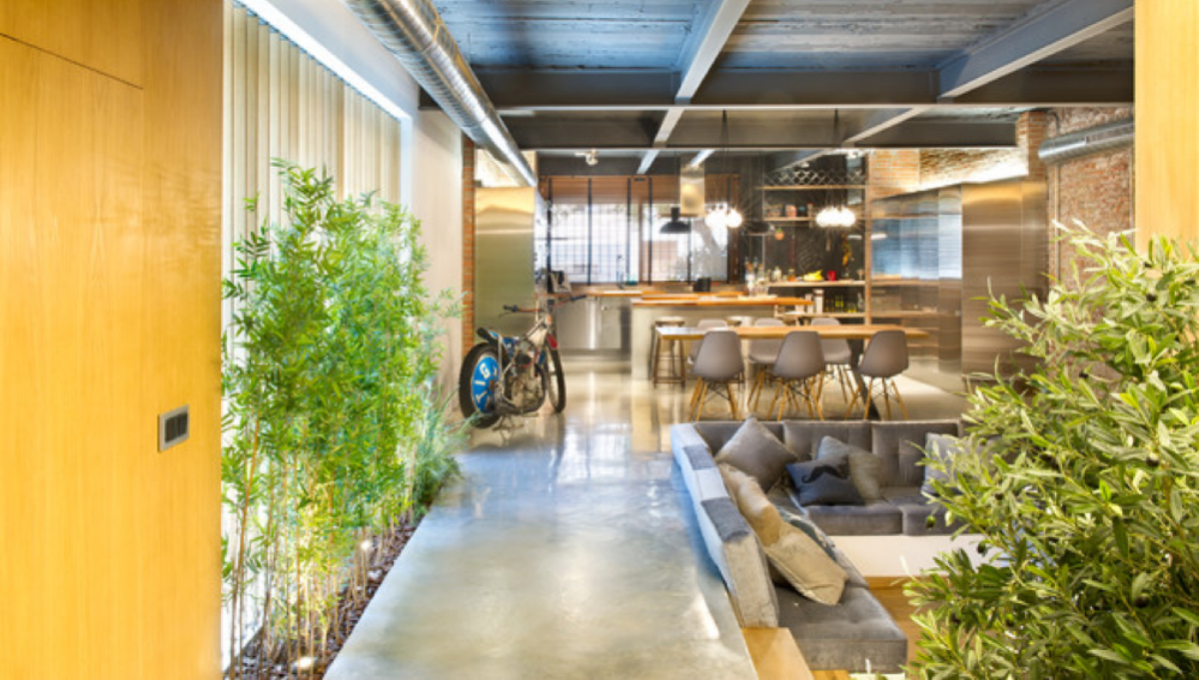 plantas_en_casa_100x100