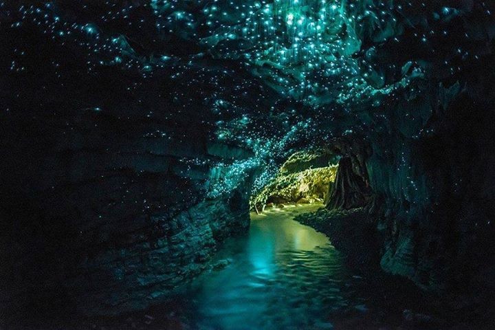 waitomo-cave-new_zealand