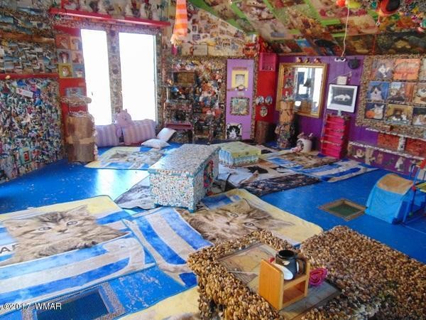 craziest-cat-house-ever-stanford-concho-arizona-4