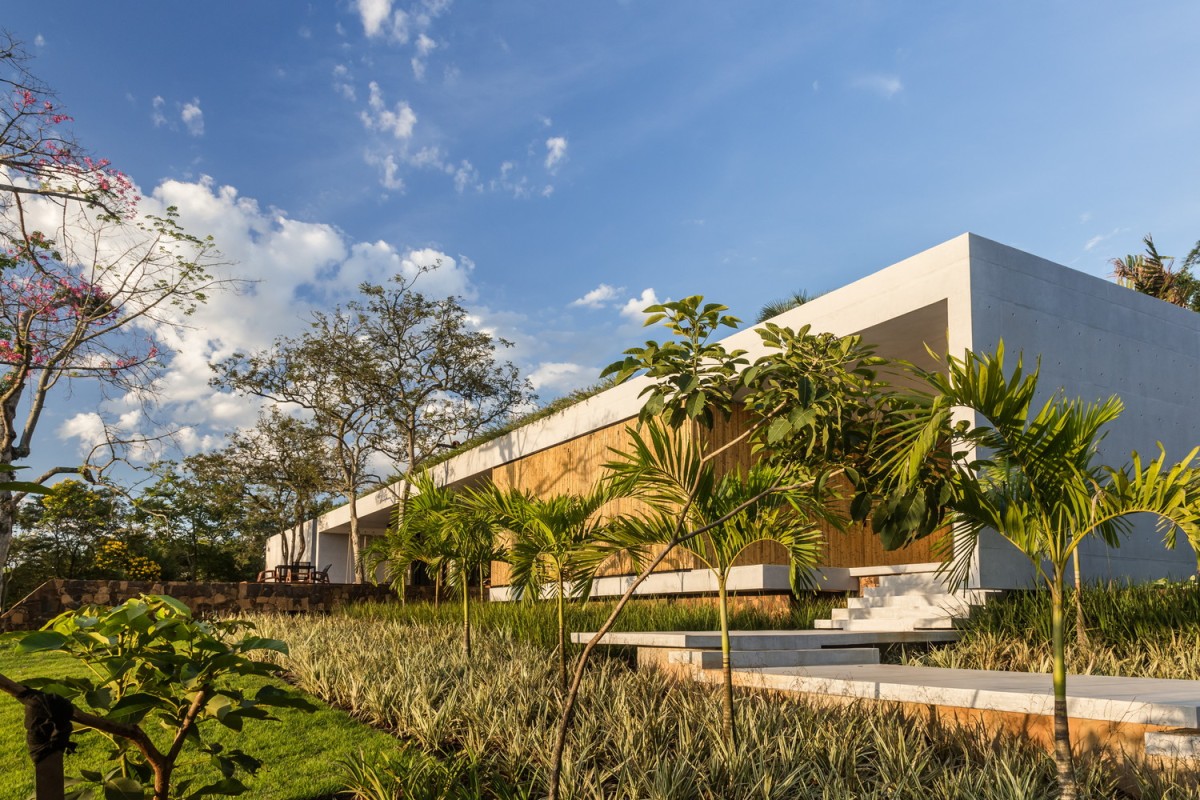 casa-ensueno-sostenible-brasil8