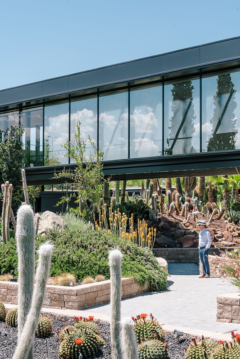 jardin_de_cactus-madrid2