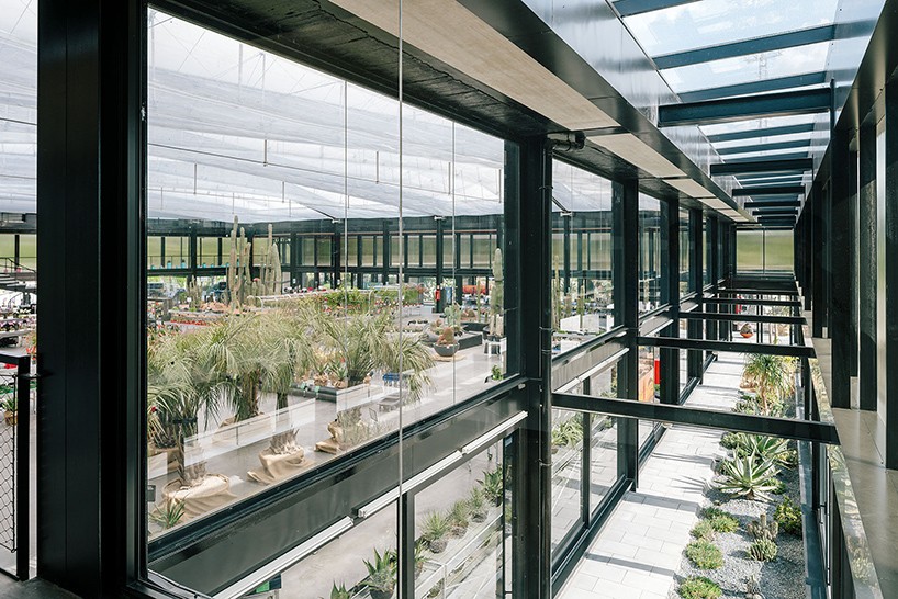 jardin_de_cactus-madrid6