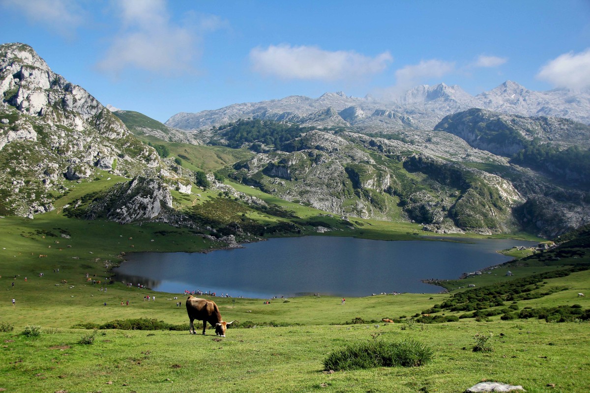 Picos de Europa