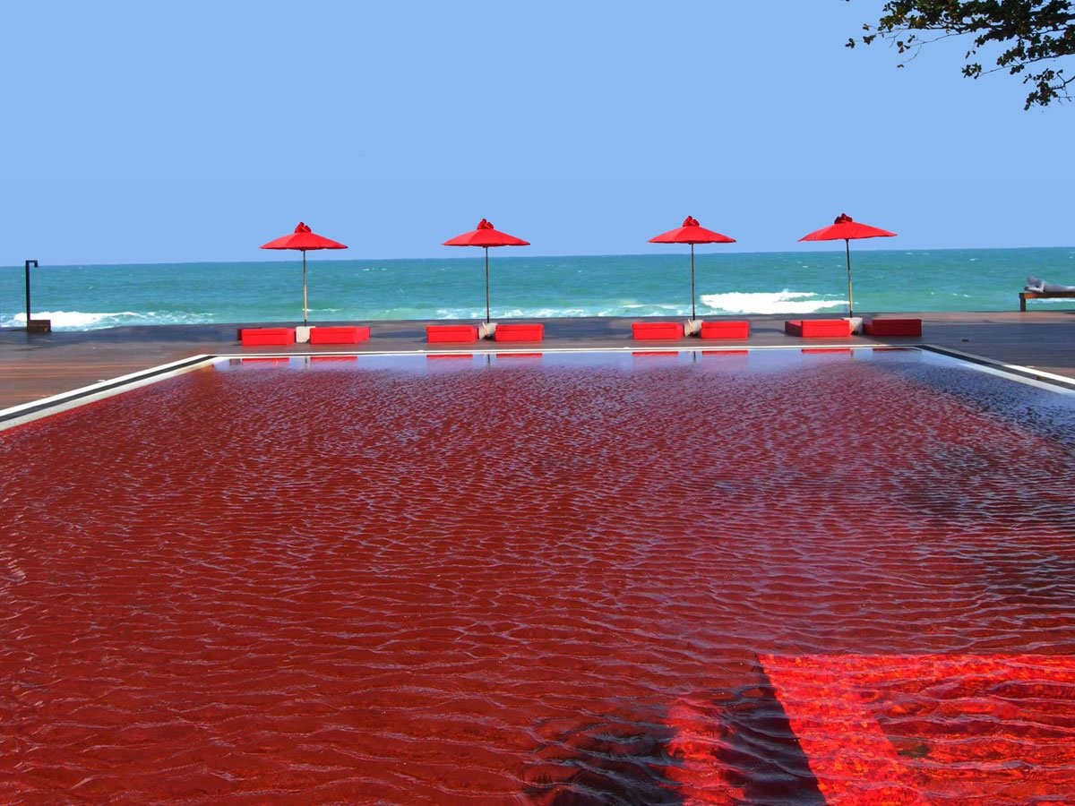 the-library-in-thailand-has-a-pool-boasting-a-unique-look-with-blood-red-tiles-creating-a-cool-e