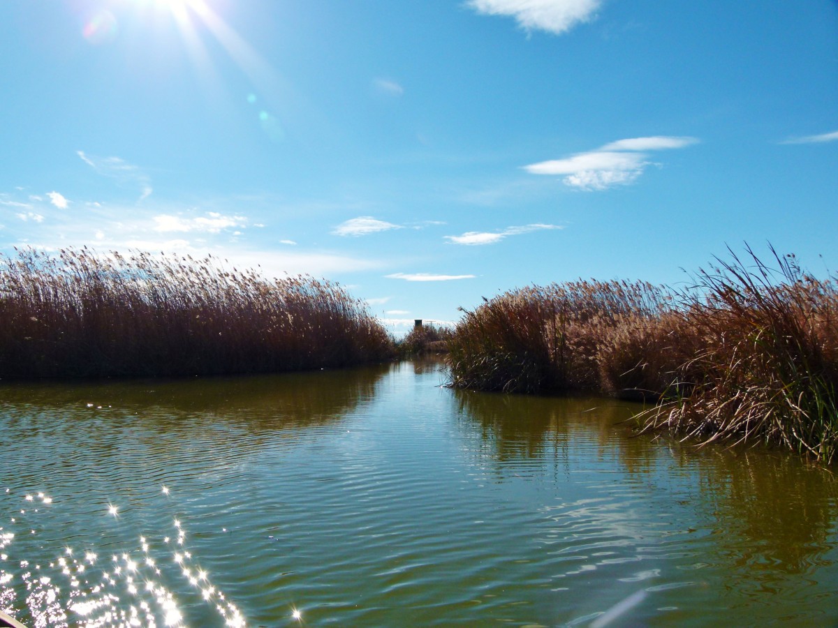 Albufera de Valencia