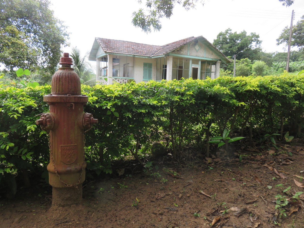 fordlandia1
