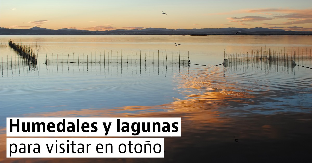 Humedales y lagunas para visitar en otoño