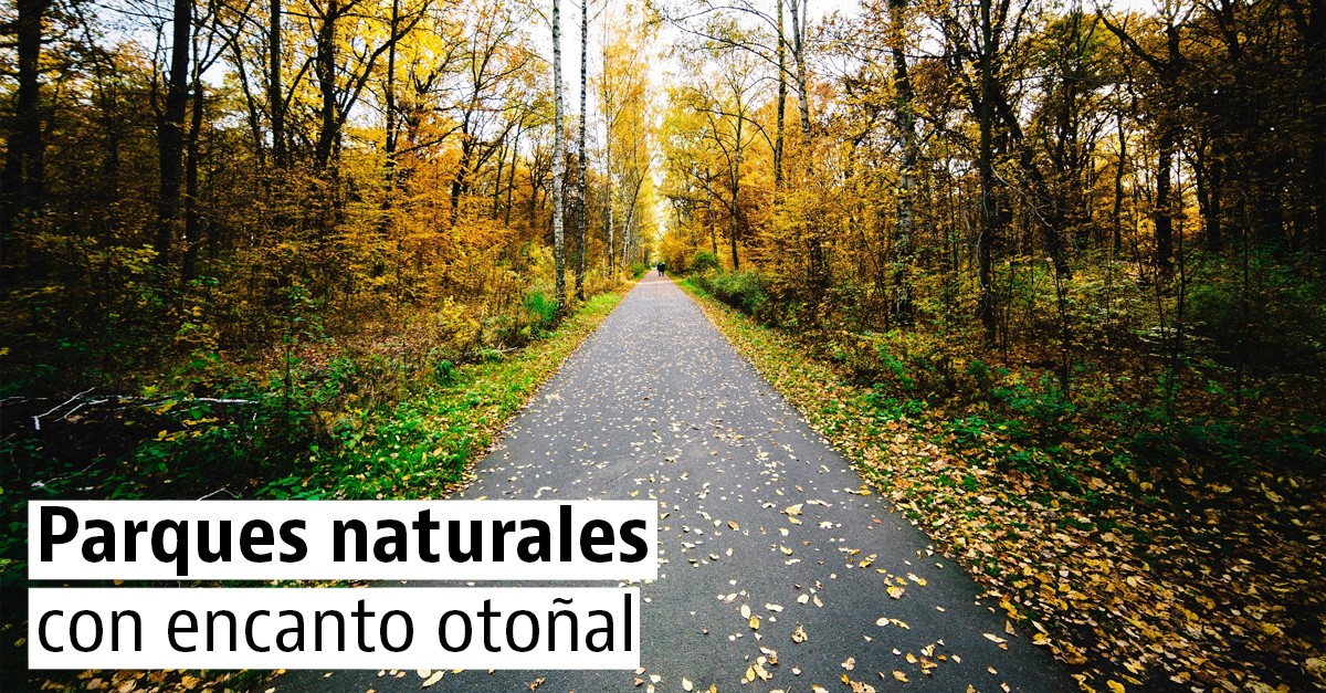 Parques naturales para una escapada rural en otoño