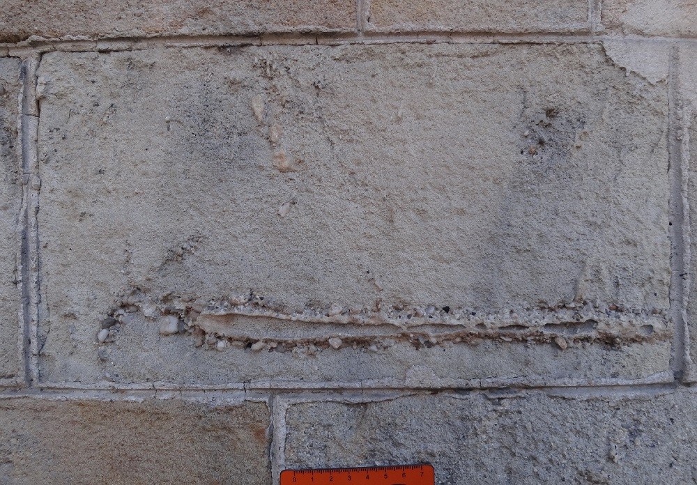 Descubren fósiles de hace más de 12 millones de años en edificios modernistas de Barcelona