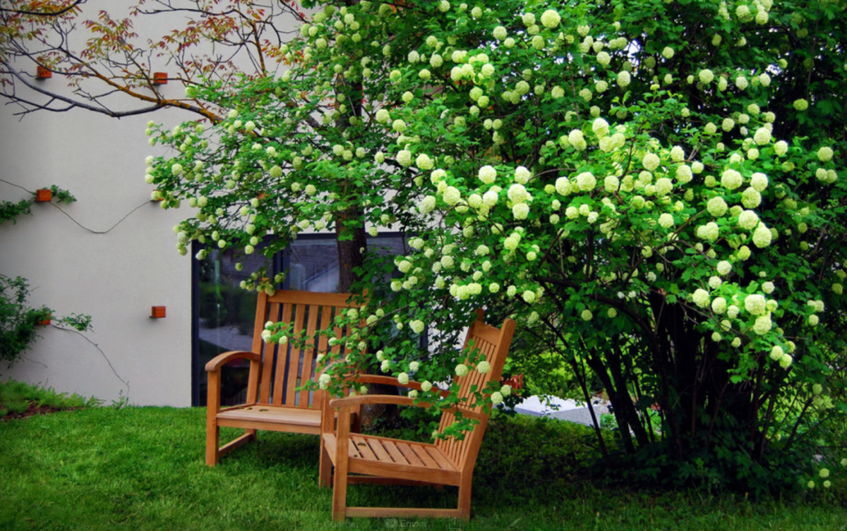 houzz3