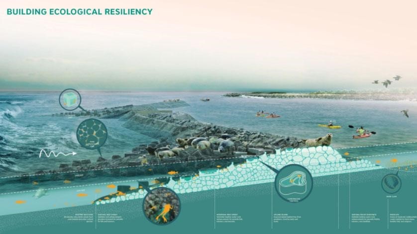 Edificios contra el cambio climático: así se modifican las ciudades para cuando suba el nivel del mar