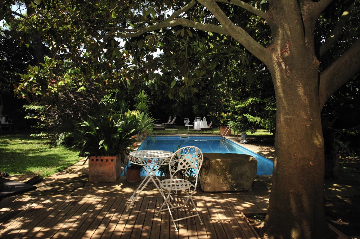 El pequeño 'bosque' de la casa confiere un área de reposo y naturaleza