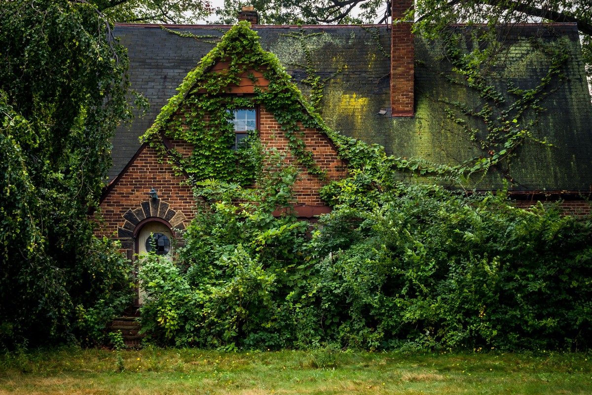 La naturaleza se ‘come’ estos lugares abandonados
