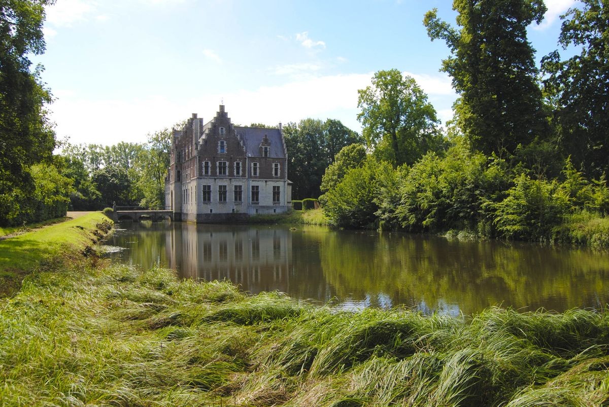El castillo cuenta con un lago en sus cercanías