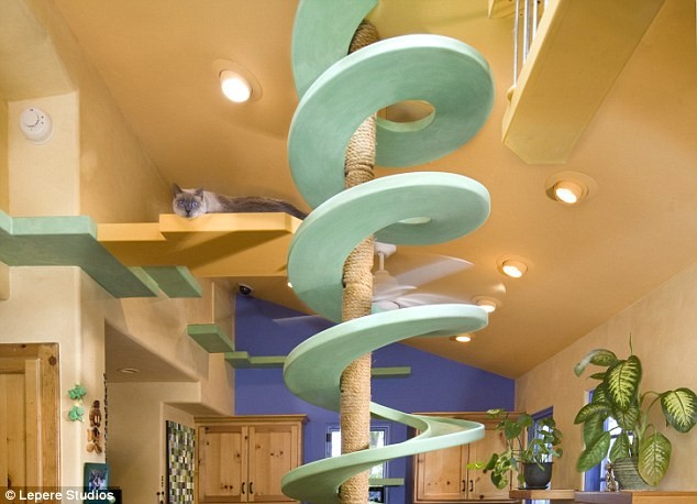 Escalera de caracol 