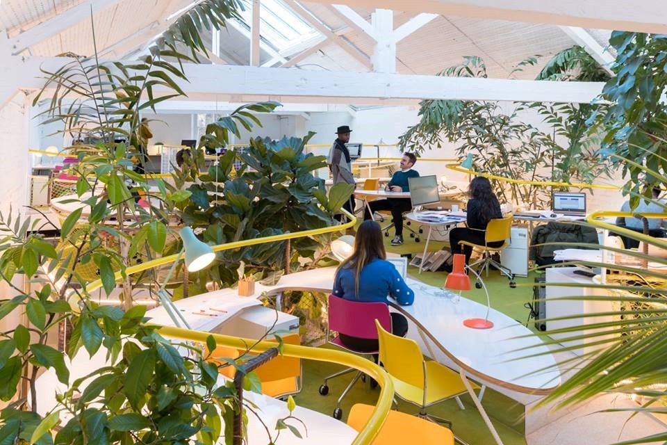 coworking_plantas