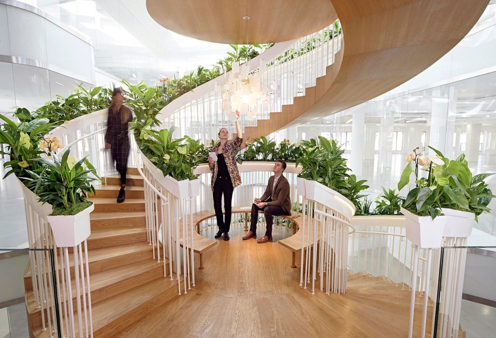 escalera_verde