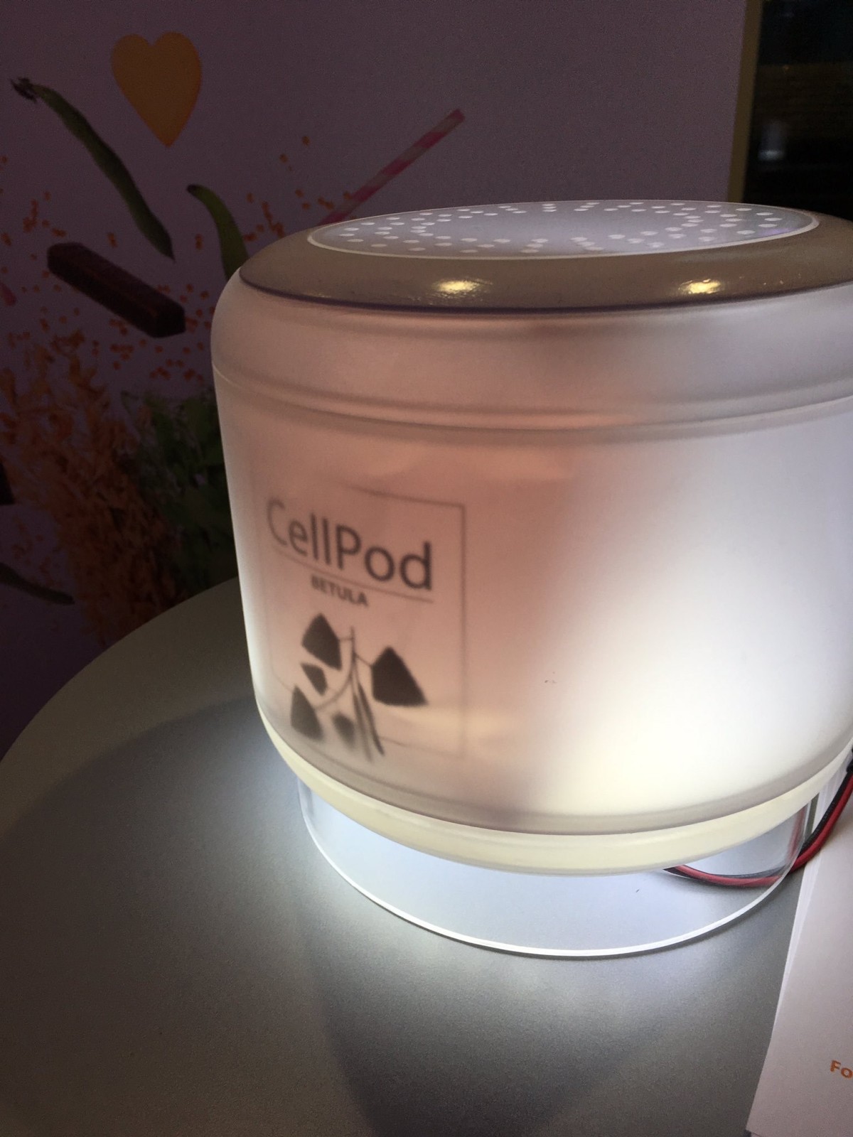 De electrodomésticos con wifi al microondas que cultiva carne: así será la cocina del futuro