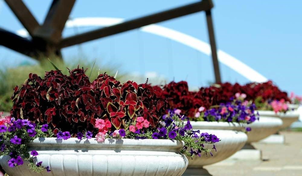 De bancos incómodos a obstáculos para 'skaters': 10 atroces ideas que fastidian al ciudadano