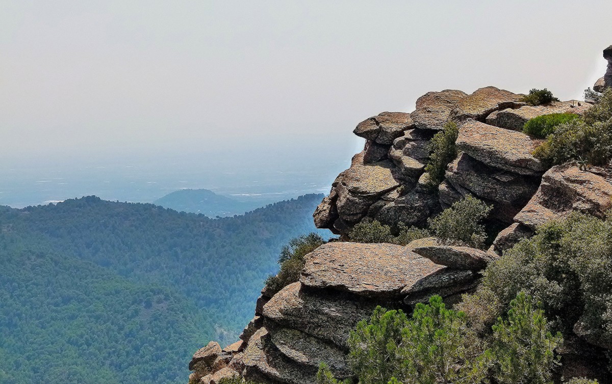 Parque Natural de la Sierra Calderona