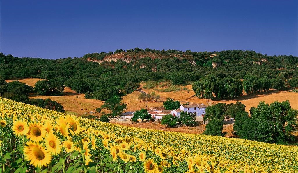 cortijo_andaluz_toprural