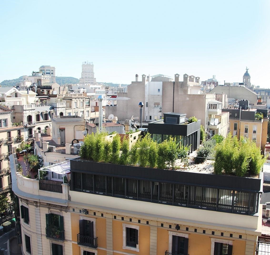 Áticos para instalar en el centro histórico Tienen proyectos en Barcelona, Madrid y París