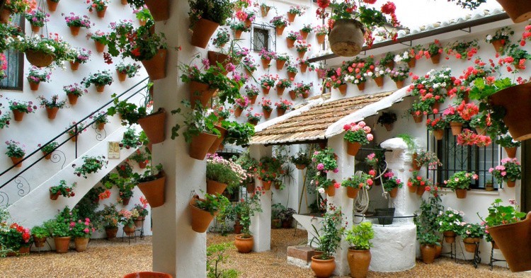 Il 'Festival de los Patios Cordobeses' a Cordoba in Andalusia