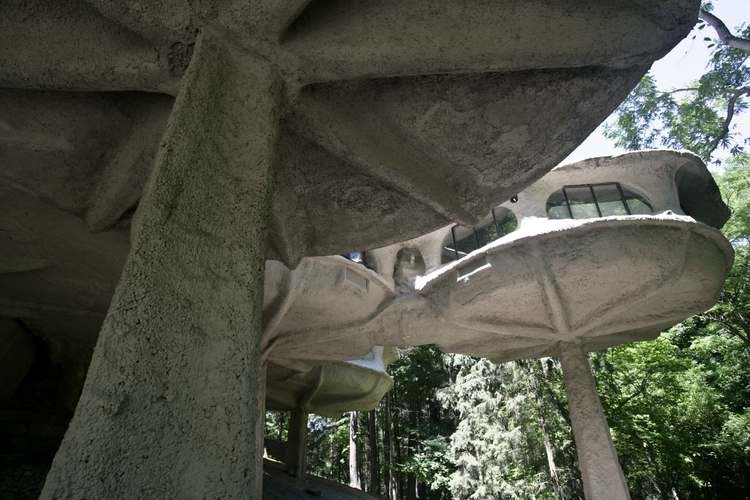 Cinco módulos erigidas en el bosque