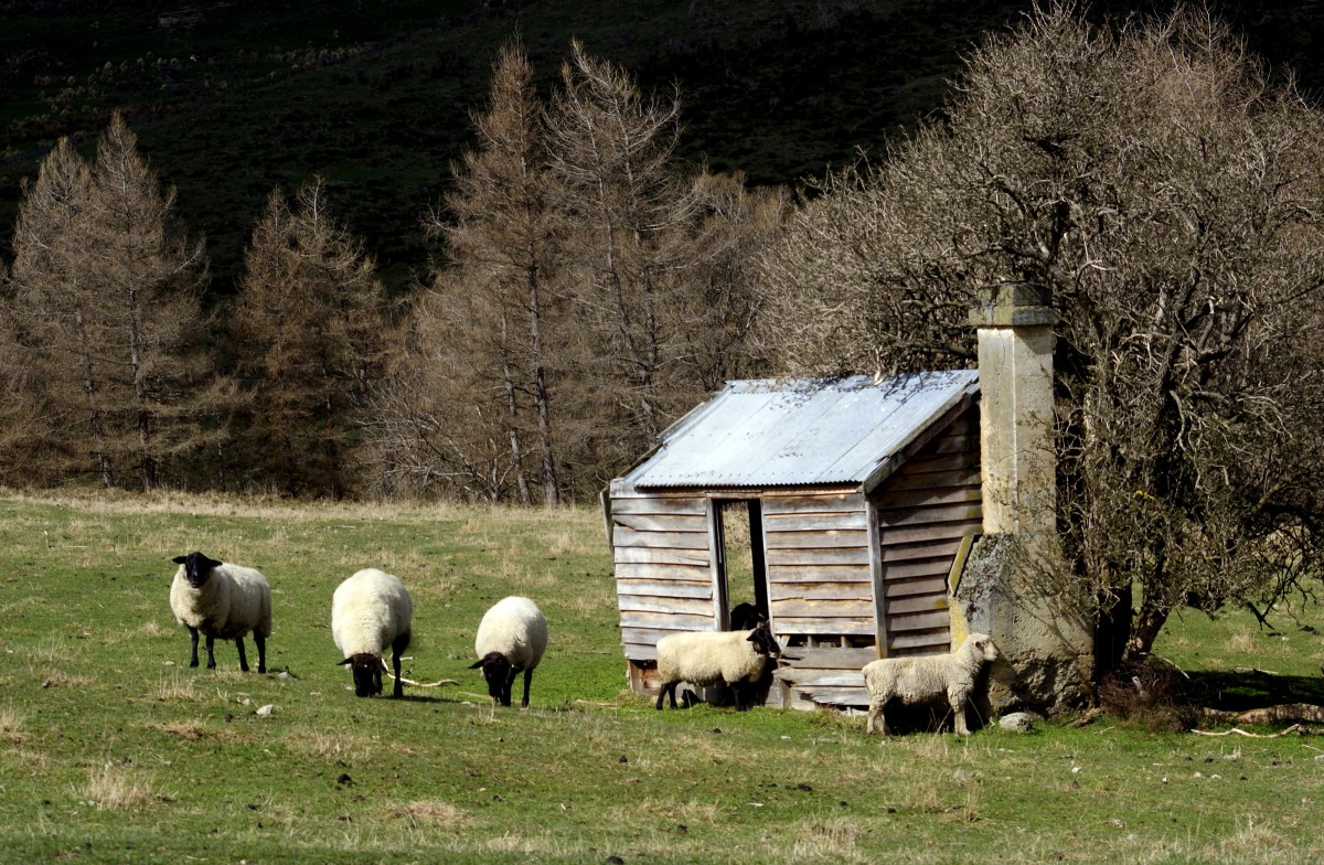 13731594463_b09f5b0bdd_o