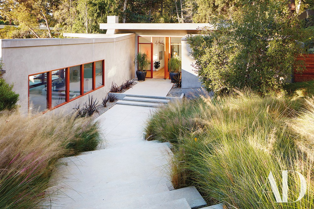 La casa está rodeada de vegetación