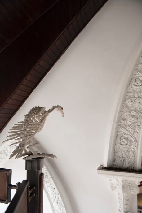 Elementos decorativos