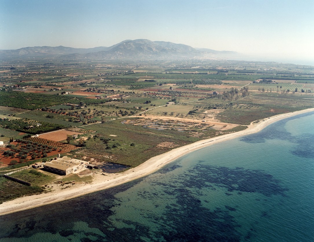 Playa Playa del Campas, Torreblanca, Castellón / Fuente: mapama.gob.es