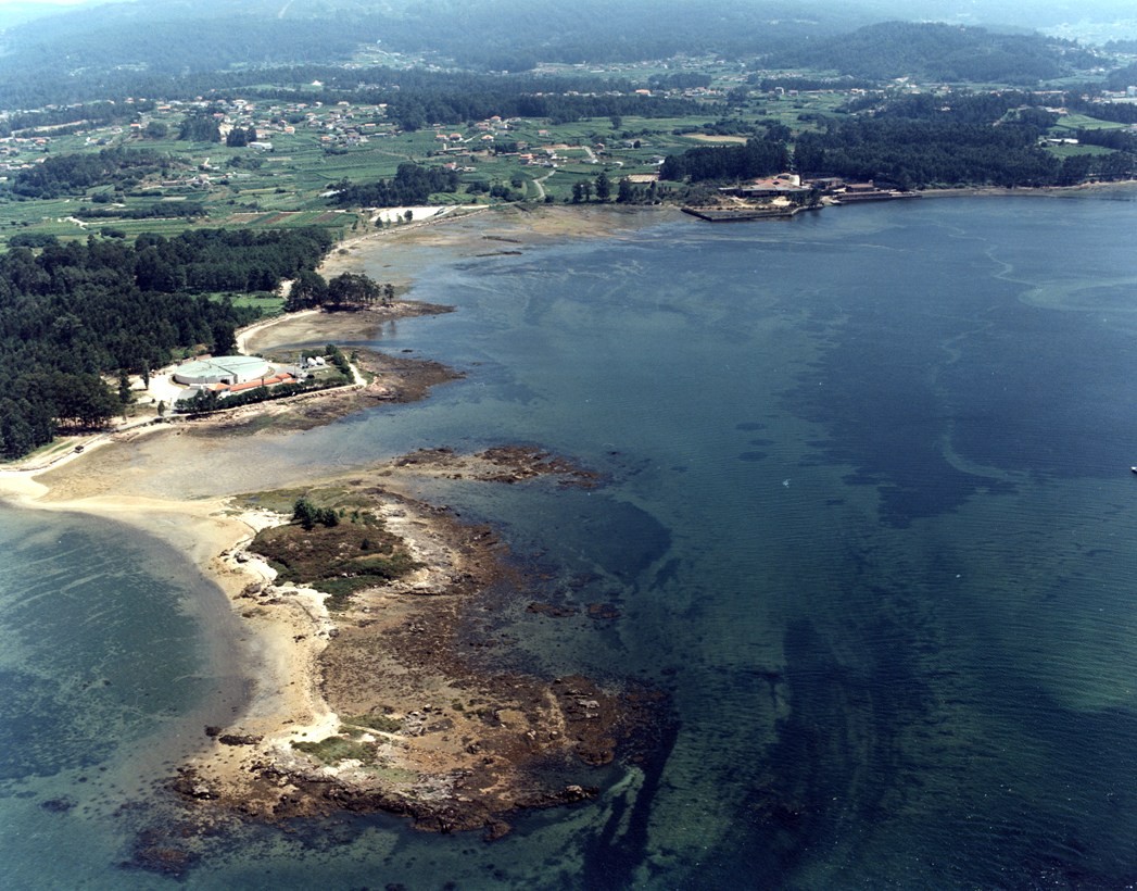 Playa Pereiro, Cambados, Pontevedra / Fuente: mapama.gob.es