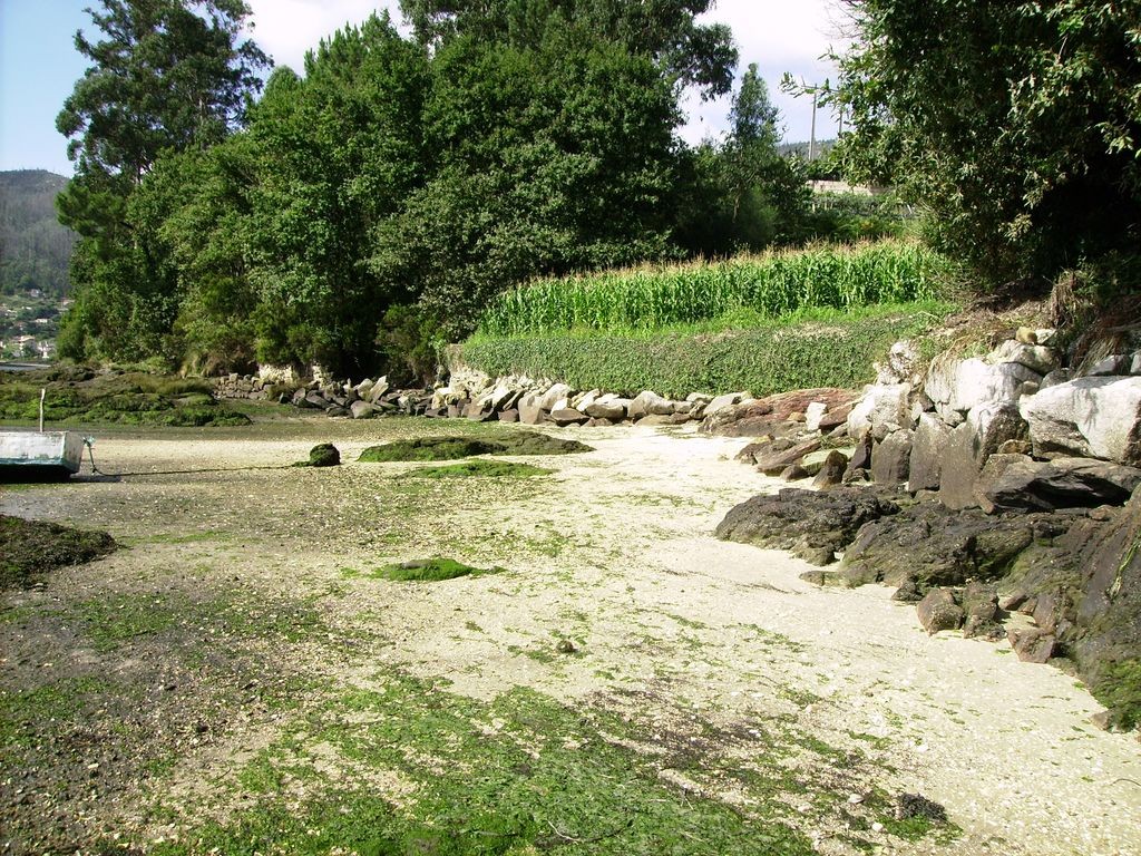 Playa Pazos, Vilaboa, Pontevedra / Fuente: mapama.gob.es