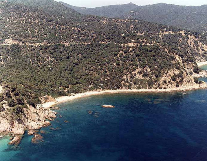 Playa Vallpresona, Santa Cristina d'Aro, Girona / Fuente: mapama.gob.es
