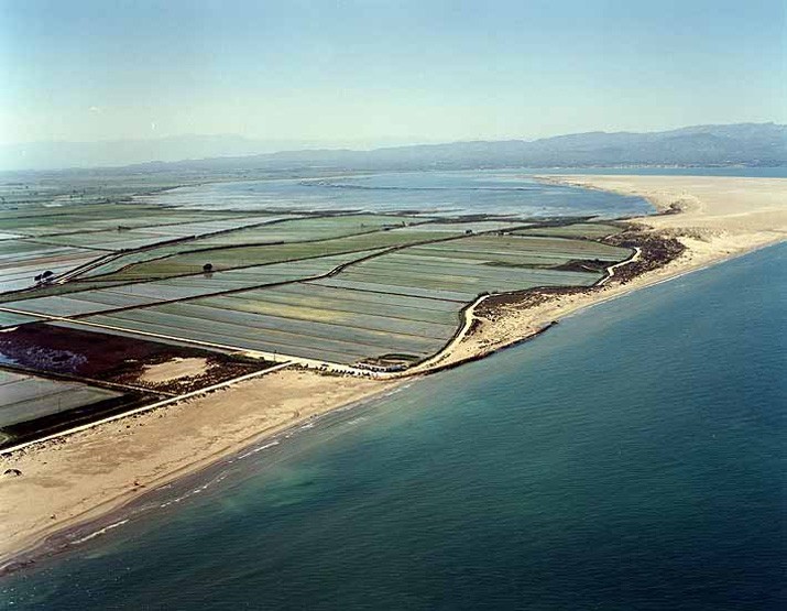 Playa La Marquesa, Deltebre, Tarragona / Fuente: mapama.gob.es