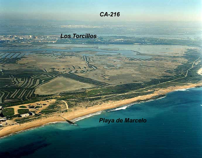 Playa La Anegada, Cádiz / Fuente: mapama.gob.es